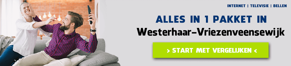 alles in 1 in Westerhaar-Vriezenveensewijk